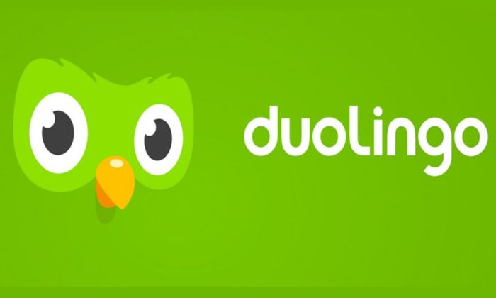 Các thông tin cơ bản về ứng dụng học ngôn ngữ Duolingo
