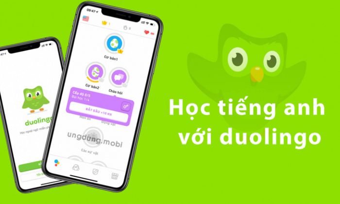 Những lợi ích mà ứng dụng Duolingo mang lại cho người dùng