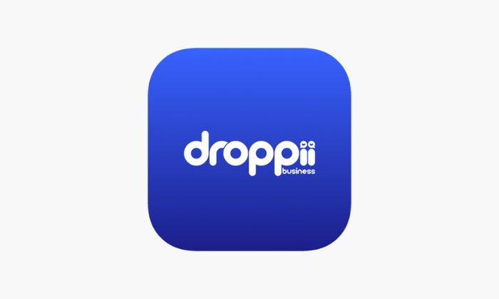 Tổng hợp thông tin khái quát về droppii mà bạn cần nắm được
