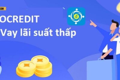 App vay tiền Alo Credit – Ứng dụng hỗ trợ vay tiền online