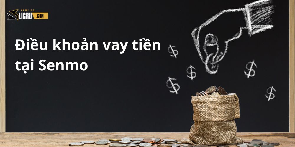 Lưu ý để được xét duyệt khoản vay tại Senmo
