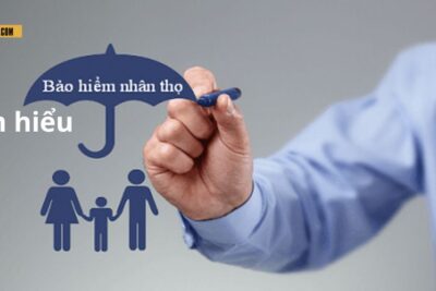 Bảo Hiểm Nhân Thọ – Tổng hợp các thông tin từ A đến Z