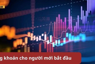 Chứng khoán cho người mới bắt đầu – Học cách đầu tư hiệu quả