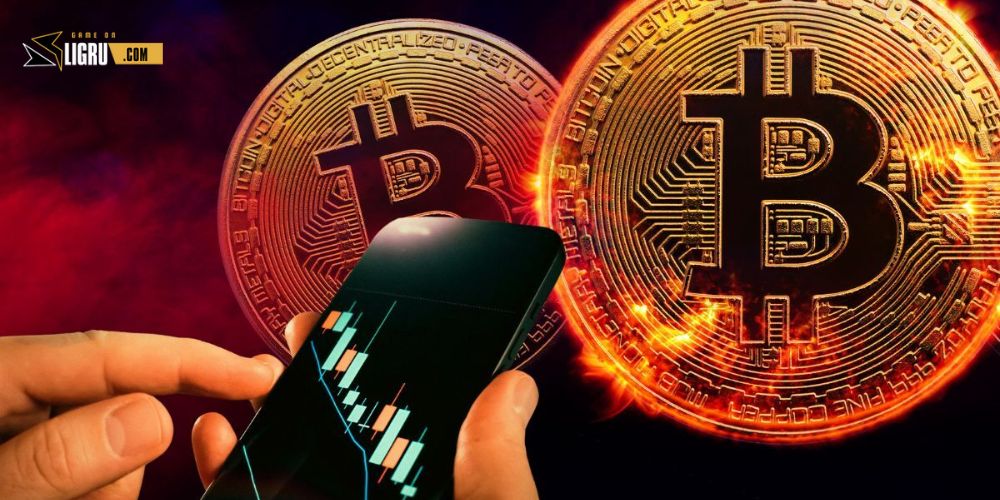 Dòng tiền từ các tổ chức tài chính (Bitcoin ETF)