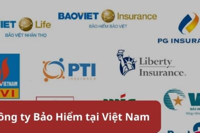 TOP 5+ Các Công ty Bảo Hiểm uy tín nhất Việt Nam hiện nay 