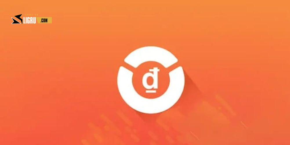 Tìm hiểu PRO VAYNOW