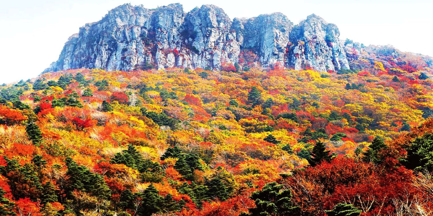 Công viên quốc gia núi Hallasan (Hallasan National Park) mang vẻ đẹp hùng vĩ của ngọn núi Hallasan