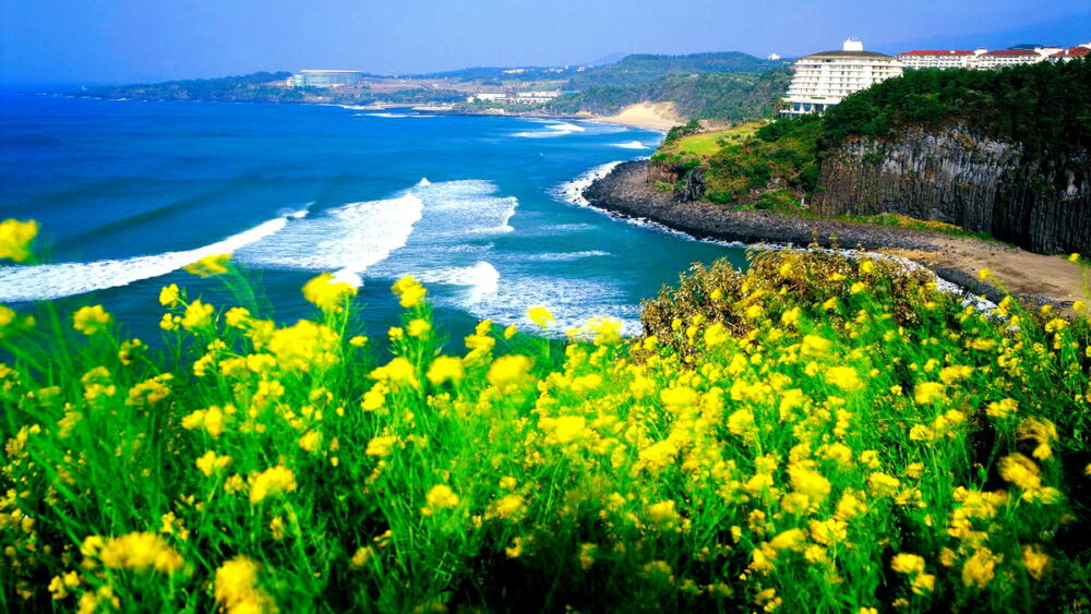 Mùa hè trên những bãi biển xanh cát trắng tại đảo Jeju