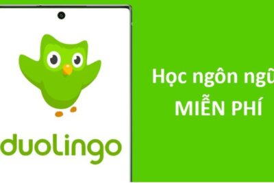 Link Tải App Duolingo Miễn Phí Về Thiết Bị Cá Nhân Kèm Hướng Dẫn