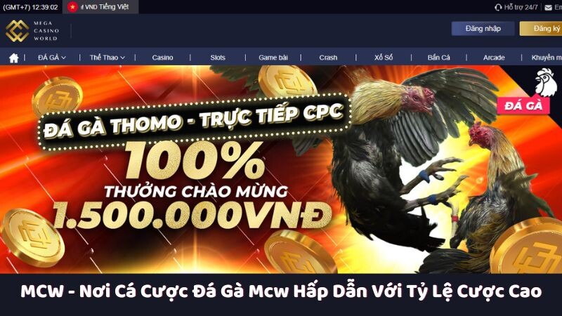 Tầm quan trọng của MCW trong ngành cá cược đá gà mcw trực tuyến