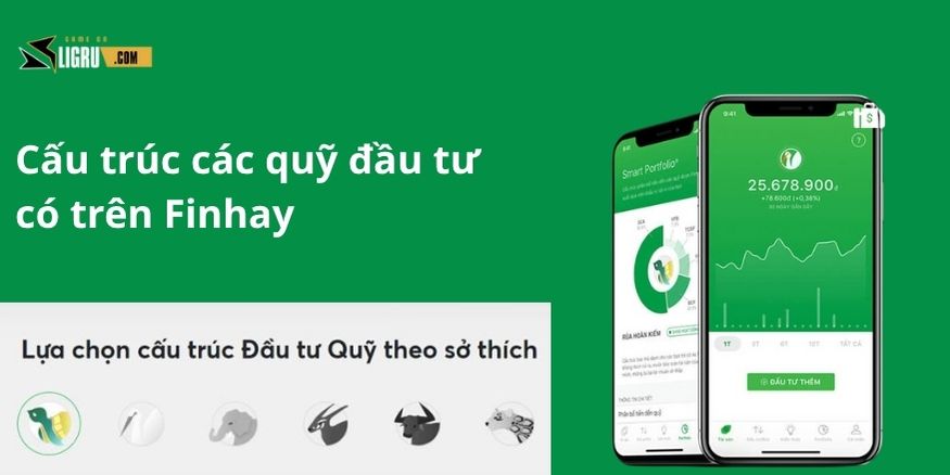 Cấu trúc các quỹ đầu tư có trên Finhay