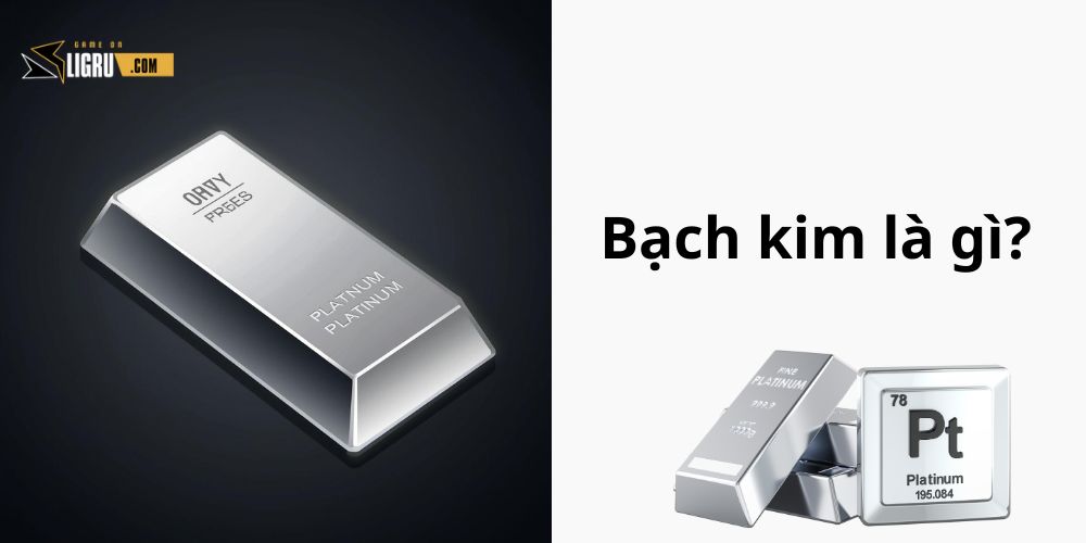 Bạch kim là gì?